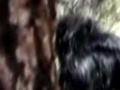 Thumbnail for version as of 18:53, 1 April 2021