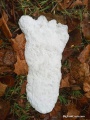 Thumbnail for version as of 21:06, 21 March 2021