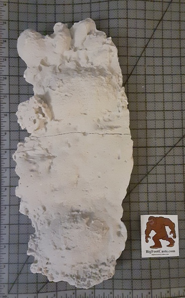 File:1995 Rawley Springs, Virginia Bigfoot cast.jpg