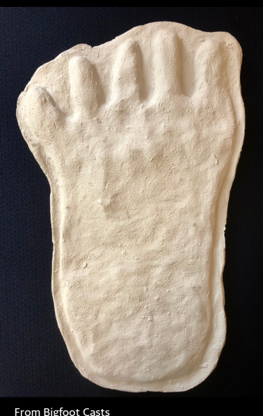 File:1976 Yowie Australian Footprint track cast.png
