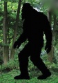 Thumbnail for version as of 22:34, 5 April 2021
