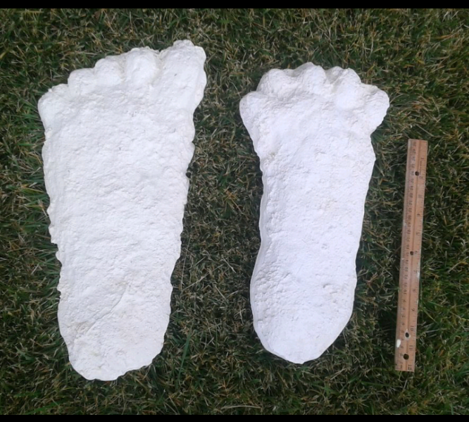 File:1963 Hyampom Bigfoot casts.png