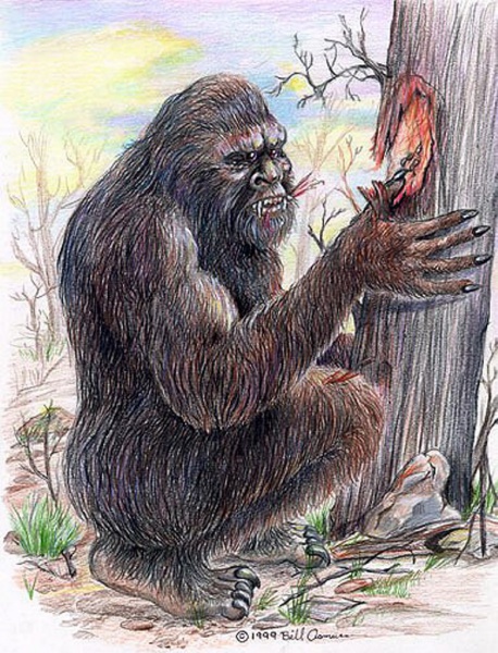 File:Yowie2 t1880.jpg