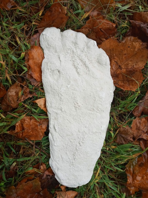 1963 Laird Meadow road Bigfoot cast