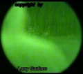 Thumbnail for version as of 20:20, 29 March 2023
