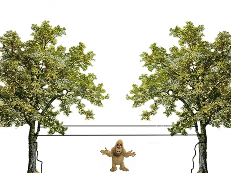 File:Drawing2.jpg