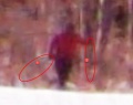 Thumbnail for version as of 11:47, 13 November 2023