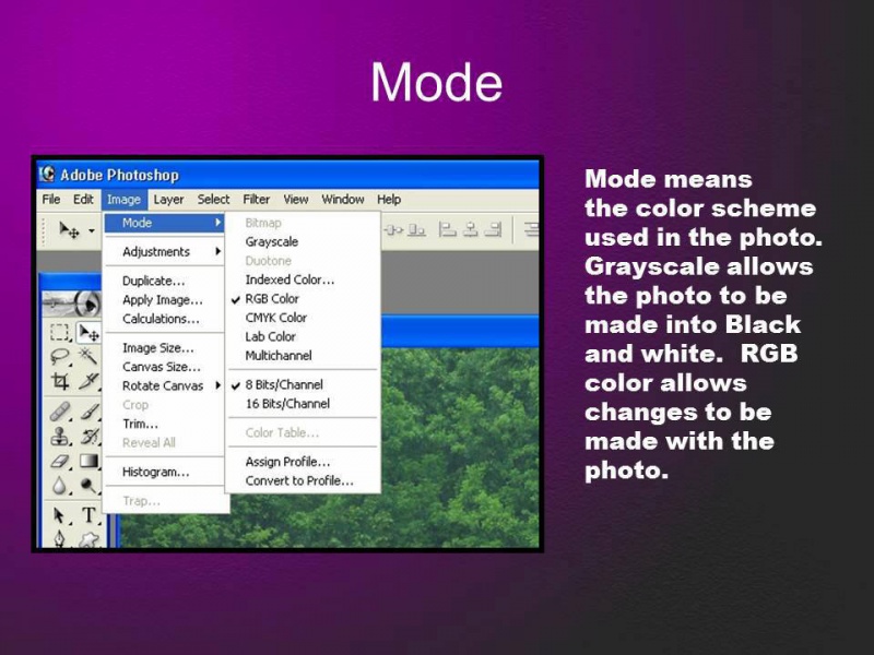 File:379730 4979355322081 1700149231 n.jpg