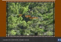 Thumbnail for version as of 18:22, 18 May 2023