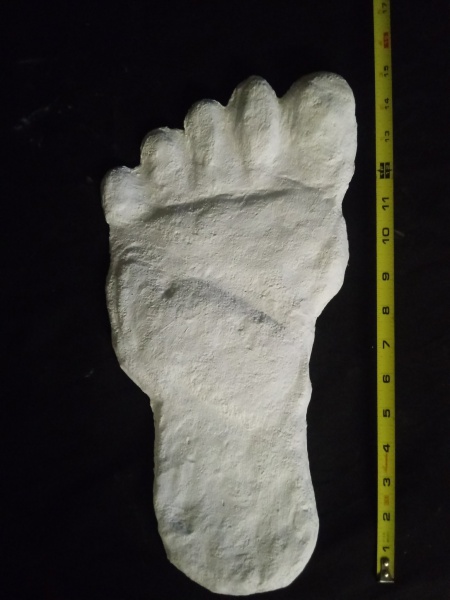 File:19xx Alma Footprint track cast from Russia.jpg