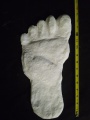 Thumbnail for version as of 21:47, 21 March 2021