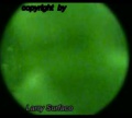 Thumbnail for version as of 20:27, 29 March 2023