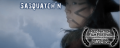 Thumbnail for version as of 20:03, 14 March 2021