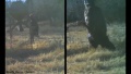 Thumbnail for version as of 20:07, 5 April 2021