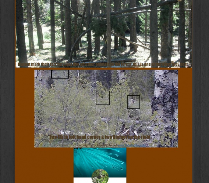 File:2016-02-15 10-42-17.jpg