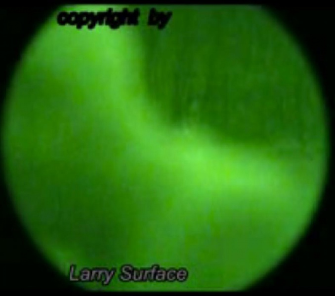 File:310564 10150953526740721 773424942 n.jpg