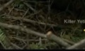 Thumbnail for version as of 14:40, 18 March 2021