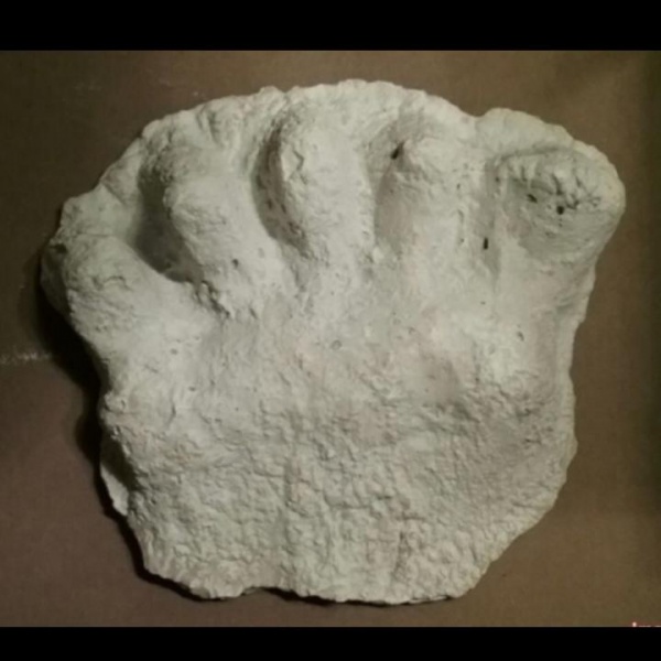 File:1984 Paul Freeman's Wrinkle Foot cast C half track.jpg