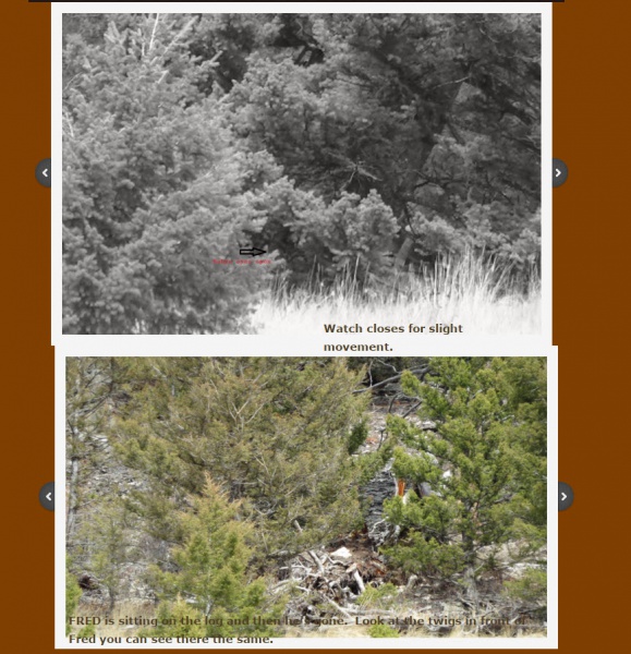 File:2016-02-15 10-54-49.jpg