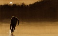 Thumbnail for version as of 21:38, 8 March 2021