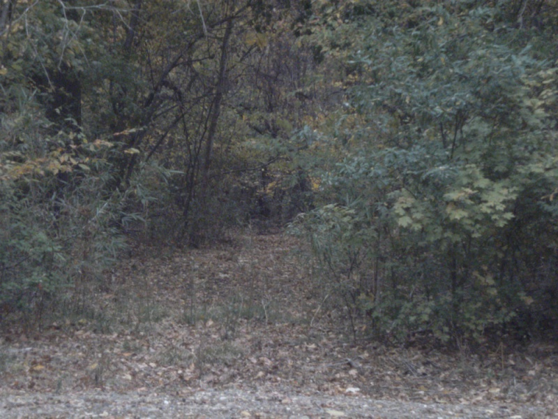 File:Two pictures taken by Biggjimm for comparison 1.jpg