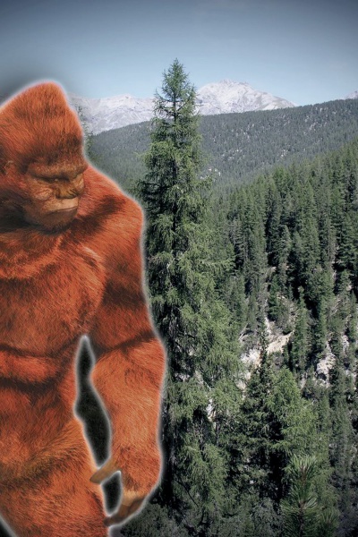 File:Sightings.jpg