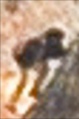 Thumbnail for version as of 15:12, 29 March 2023