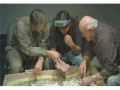 Thumbnail for version as of 16:24, 8 March 2021