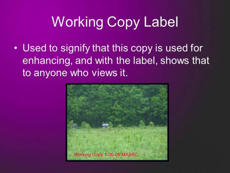 File:971866 4979360762217 1543853268 n.jpg