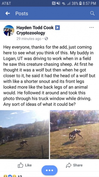 File:44982854 10213084101517598 8840148988549136384 n.jpg