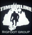 Thumbnail for version as of 19:37, 17 January 2024