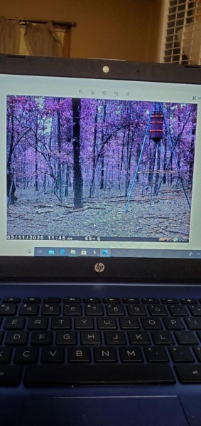 File:167144042 10159483943339916 7653199146765196236 n.jpg