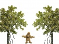 Thumbnail for version as of 15:25, 19 January 2023