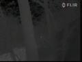 Thumbnail for version as of 15:16, 8 May 2024