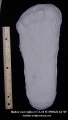Thumbnail for version as of 19:51, 21 March 2021