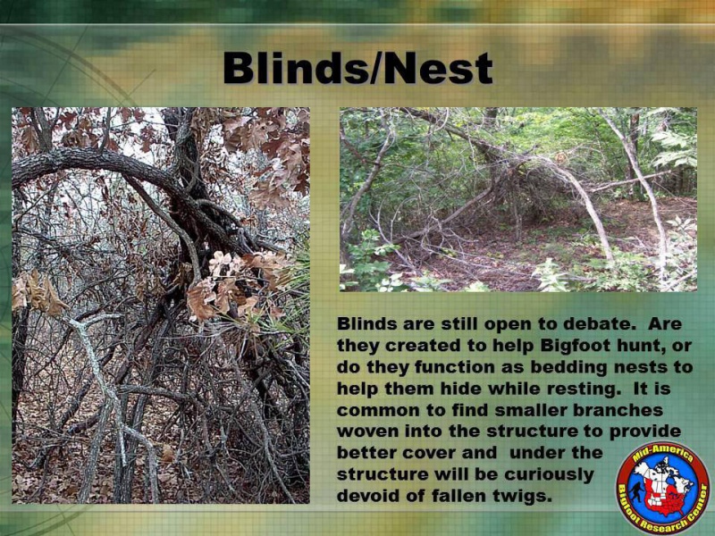 File:972080 4979236919121 1583056379 n.jpg