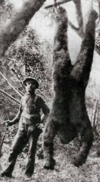 File:Hoax bigfoot photo.jpg