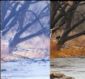 Thumbnail for version as of 15:04, 29 March 2023