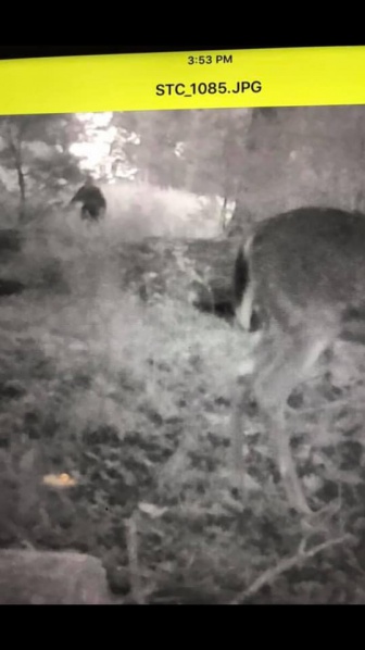 File:44907322 10213084231280842 2640175718939492352 n.jpg