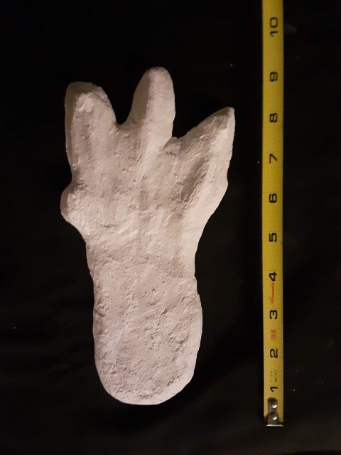 1974 Honey Island Swamp Monster Track Cast