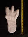 1974 Honey Island Swamp Monter Track Cast.jpg