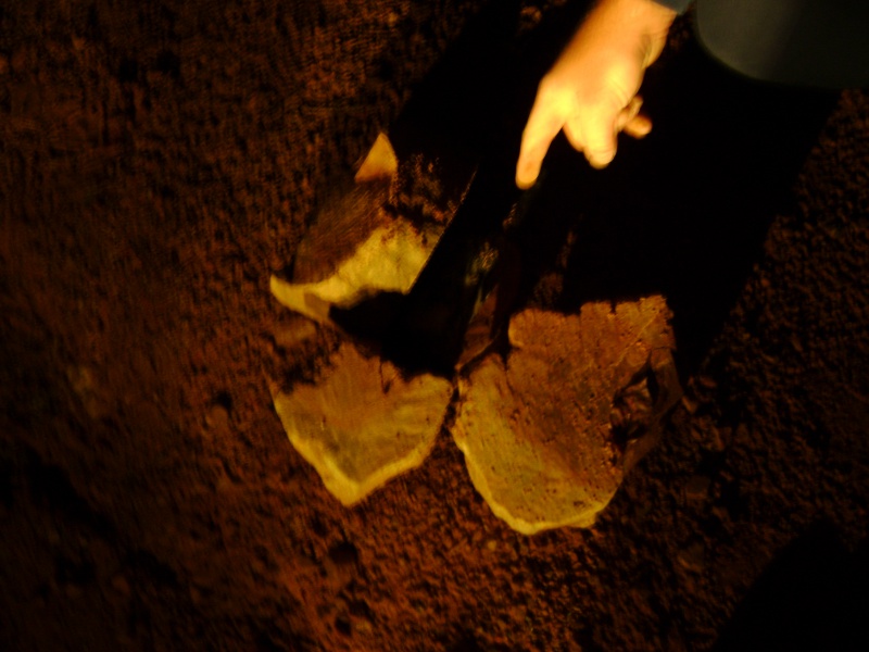 File:DSC00845.jpg
