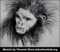 Thumbnail for version as of 16:34, 8 April 2021