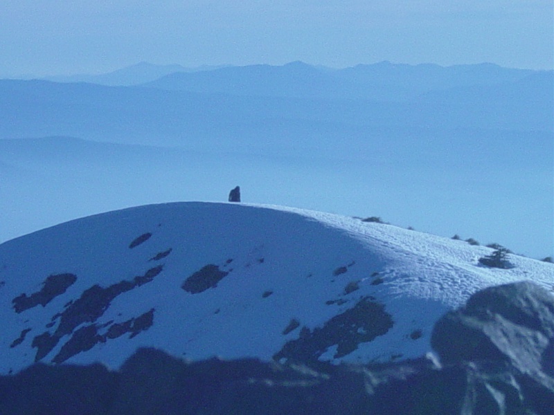 File:Silver Star Mt. 030 orig.jpg