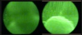 Thumbnail for version as of 20:21, 29 March 2023