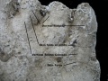 Thumbnail for version as of 23:35, 7 March 2021