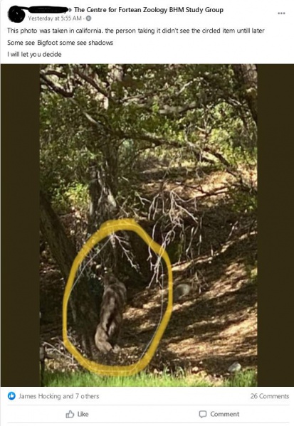 File:243818229 4407580555989053 2467513872416933781 n.jpg