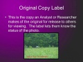 Thumbnail for version as of 19:52, 19 March 2021