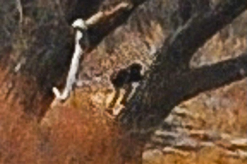 File:411987 10151147192555721 1710453961 o.jpg