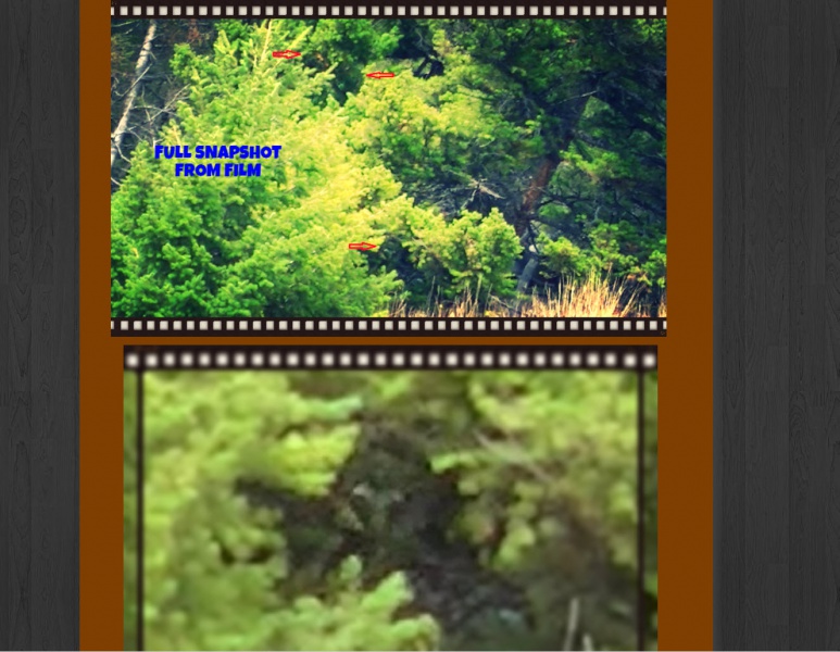 File:2016-02-15 10-53-38.jpg